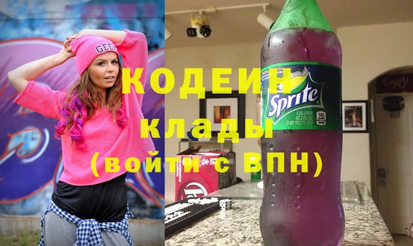 соль ск Арсеньев