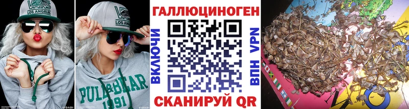 Галлюциногенные грибы MAGIC MUSHROOMS  Калининск 
